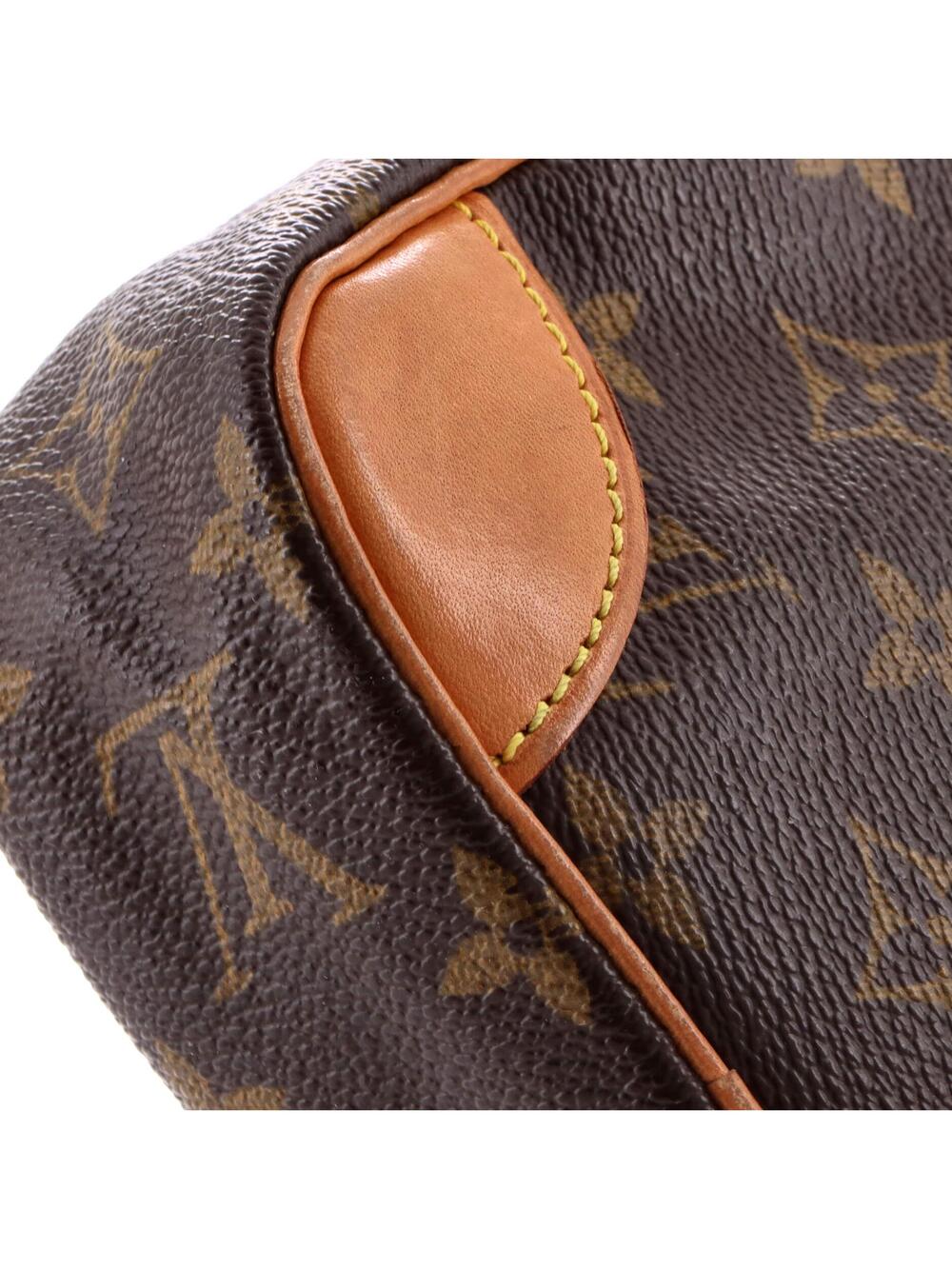 Louis Vuitton Danube Handbag Canvas #254938L10B - Picture 6 of 8